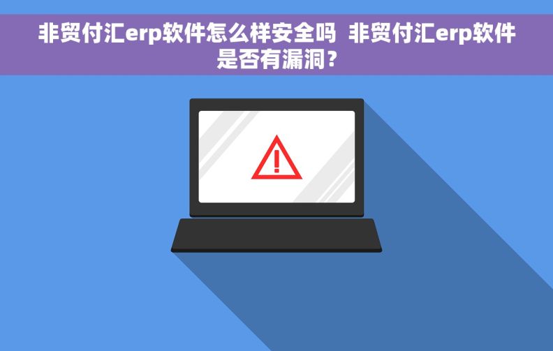 非贸付汇erp软件怎么样安全吗  非贸付汇erp软件是否有漏洞？