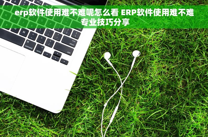 erp软件使用难不难呢怎么看 ERP软件使用难不难 专业技巧分享