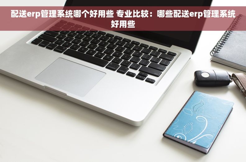 配送erp管理系统哪个好用些 专业比较：哪些配送erp管理系统好用些