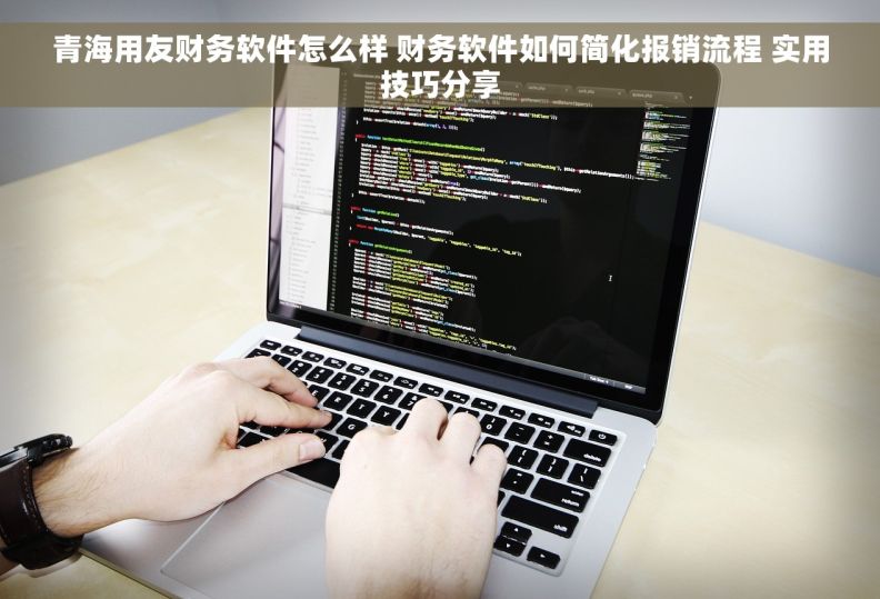 青海用友财务软件怎么样 财务软件如何简化报销流程 实用技巧分享