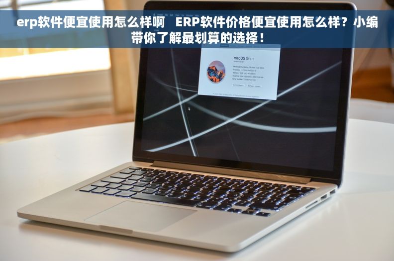 erp软件便宜使用怎么样啊   ERP软件价格便宜使用怎么样？小编带你了解最划算的选择！