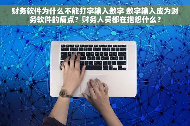 财务软件为什么不能打字输入数字 数字输入成为财务软件的痛点？财务人员都在抱怨什么？