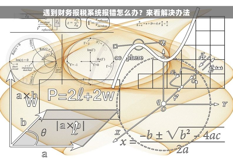 遇到财务报税系统报错怎么办？来看解决办法