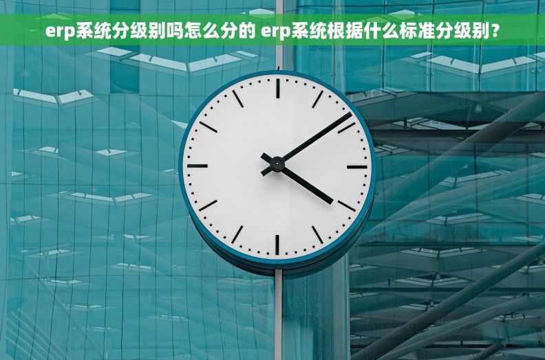 erp系统分级别吗怎么分的 erp系统根据什么标准分级别？