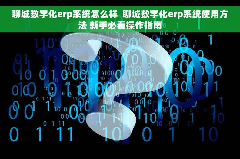 聊城数字化erp系统怎么样  聊城数字化erp系统使用方法 新手必看操作指南