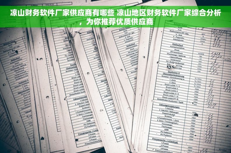 凉山财务软件厂家供应商有哪些 凉山地区财务软件厂家综合分析，为你推荐优质供应商