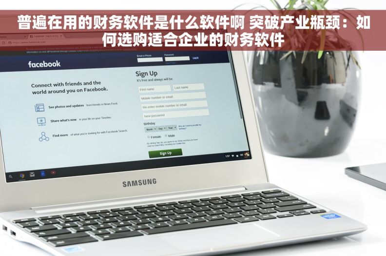 普遍在用的财务软件是什么软件啊 突破产业瓶颈：如何选购适合企业的财务软件