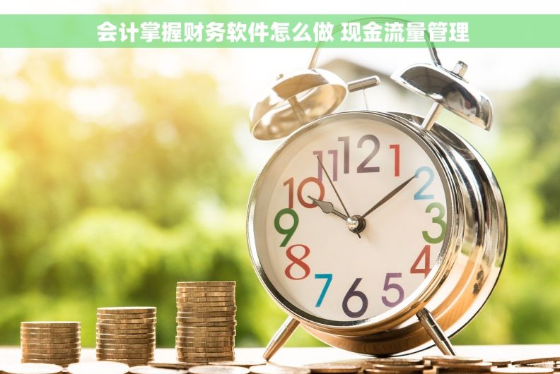  会计掌握财务软件怎么做 现金流量管理