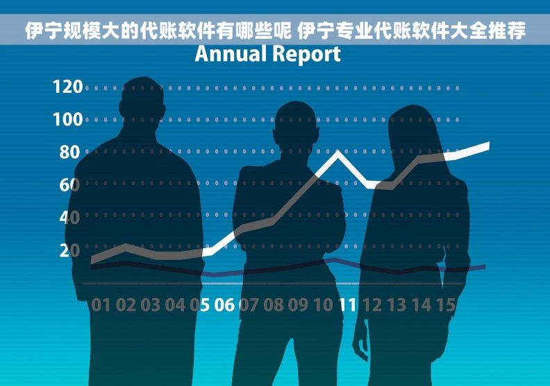 伊宁规模大的代账软件有哪些呢 伊宁专业代账软件大全推荐