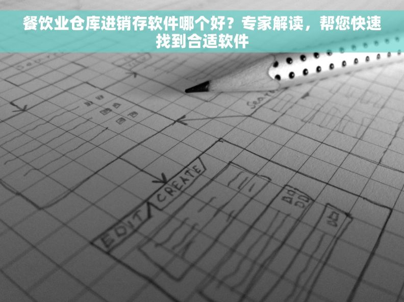 餐饮业仓库进销存软件哪个好？专家解读，帮您快速找到合适软件