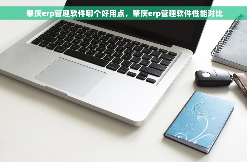  肇庆erp管理软件哪个好用点，肇庆erp管理软件性能对比