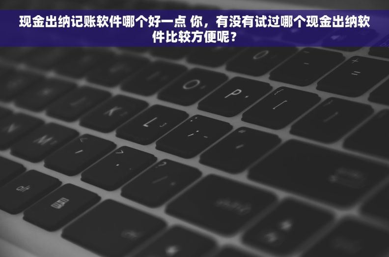 现金出纳记账软件哪个好一点 你，有没有试过哪个现金出纳软件比较方便呢？