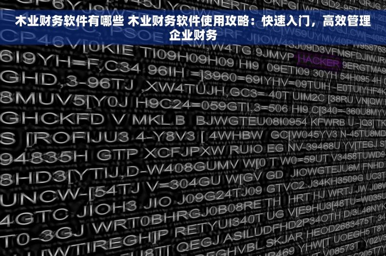 木业财务软件有哪些 木业财务软件使用攻略：快速入门，高效管理企业财务