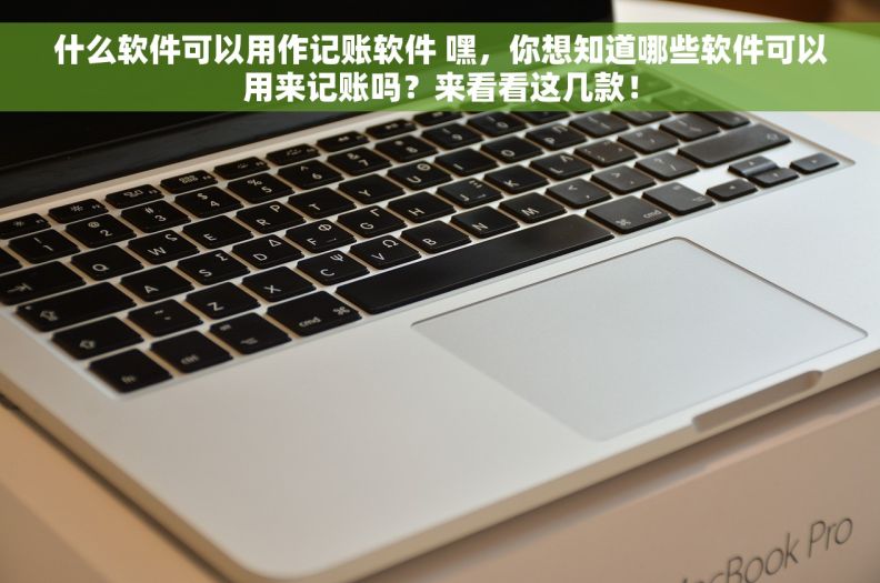 什么软件可以用作记账软件 嘿，你想知道哪些软件可以用来记账吗？来看看这几款！