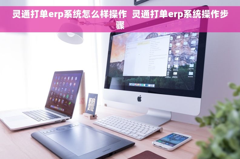 灵通打单erp系统怎么样操作  灵通打单erp系统操作步骤