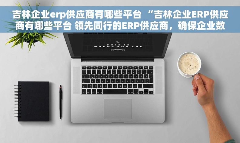 吉林企业erp供应商有哪些平台 “吉林企业ERP供应商有哪些平台 领先同行的ERP供应商，确保企业数字化成功！”