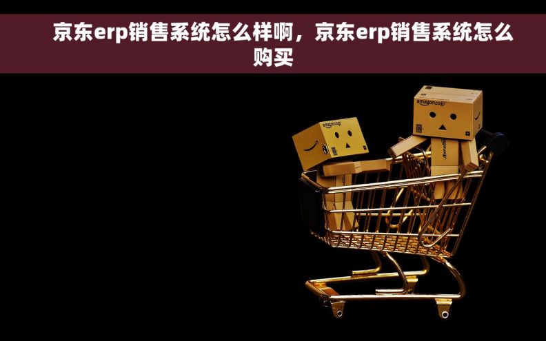     京东erp销售系统怎么样啊，京东erp销售系统怎么购买