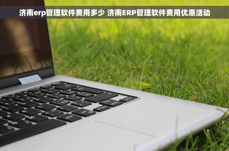 济南erp管理软件费用多少 济南ERP管理软件费用优惠活动