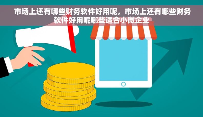  市场上还有哪些财务软件好用呢，市场上还有哪些财务软件好用呢哪些适合小微企业