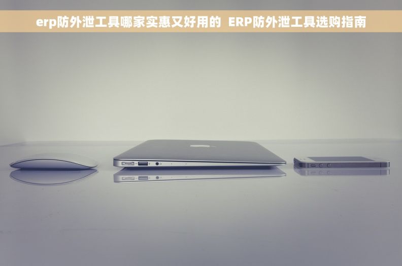 erp防外泄工具哪家实惠又好用的  ERP防外泄工具选购指南